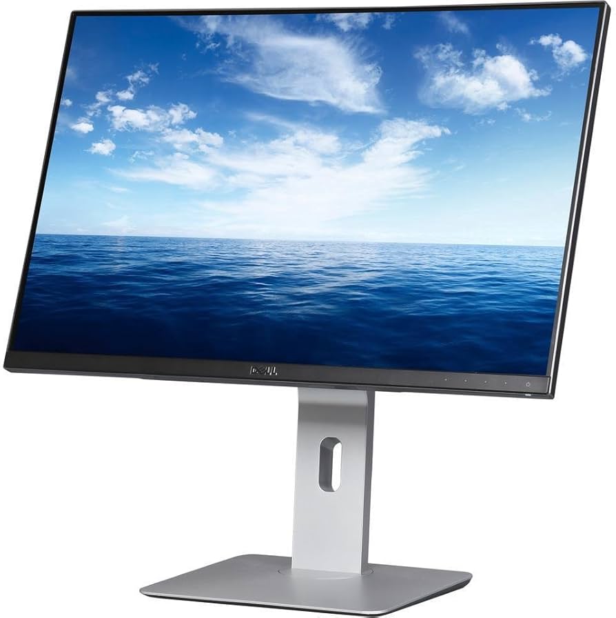 Dell UltraSharp U2415 Monitor Full HD (1920 x 1200) Refurbished