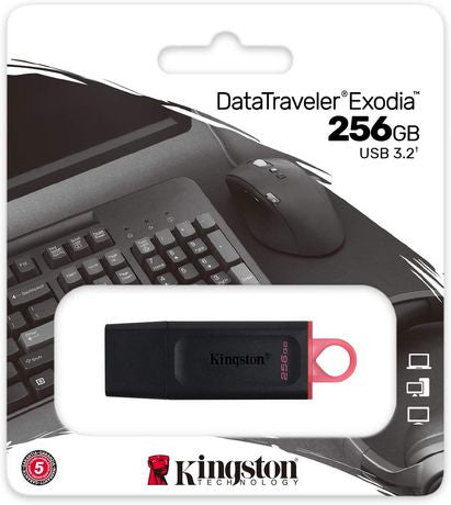 Kingston DataTraveler Exodia 256 GB USB 3.2 Flash Drive DTX/256GB